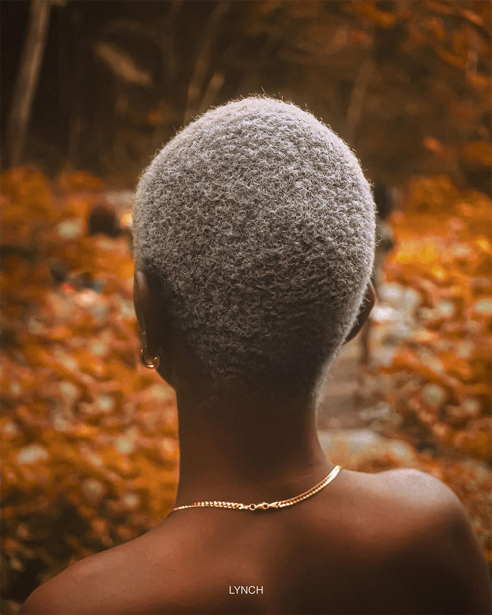 Portrait from behind with silver hair